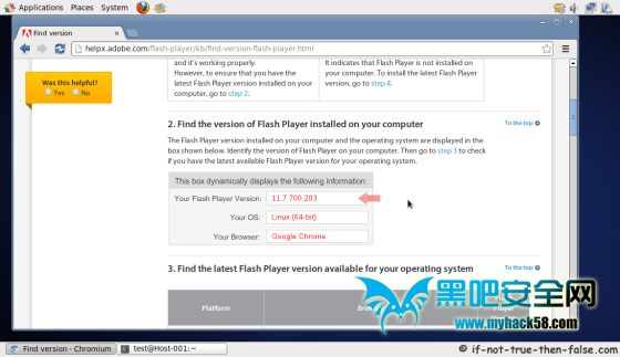 Chromium running on CentOS 6.4 (Adobe Flash Test Page)