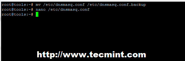 Backup Dnsmasq Configuration
