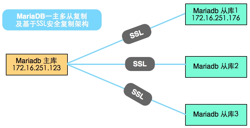 Maria10ʵӸƼܹSSL