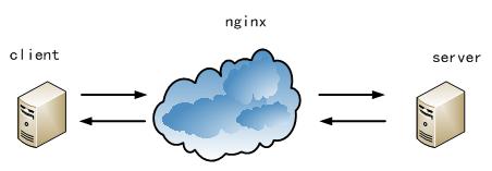  Nginx ؾ