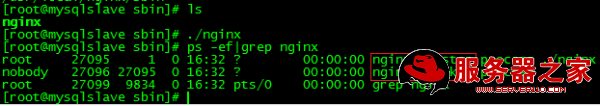 Linux°װNGINX