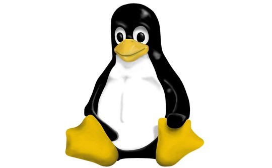 Linux 