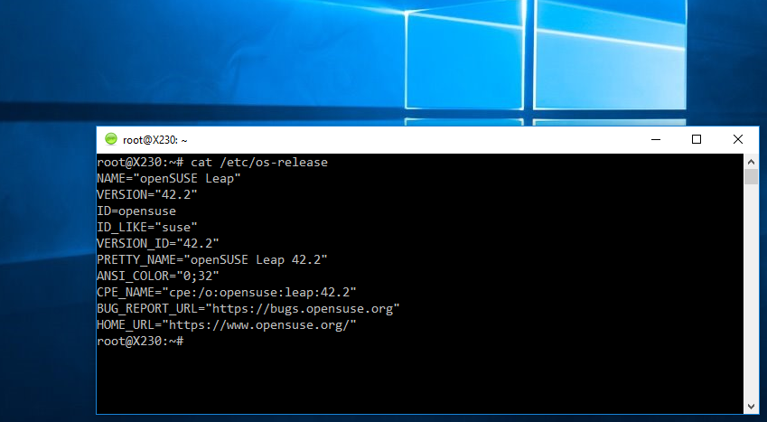  Windows 10   SUSE Linux shell