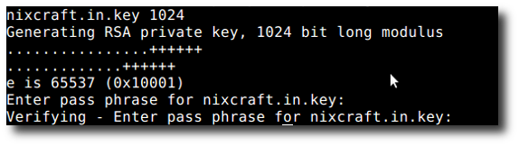 Fig.01: OpenSSL - Create a Private Key