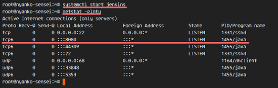 Ѿ Jenkins װ 8080 ˿