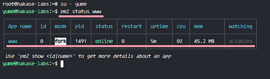 nodejs  pm2 ¿